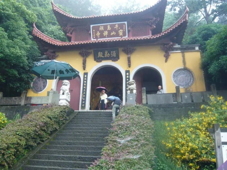 千島湖丨做一次療愈的森林SPA