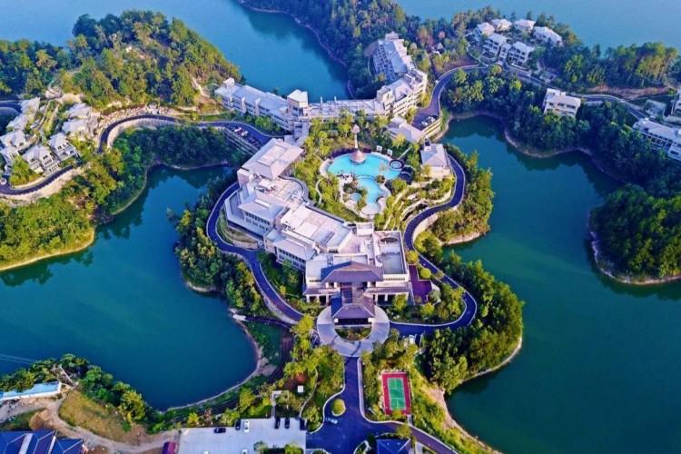 千島湖丨做一次療愈的森林SPA