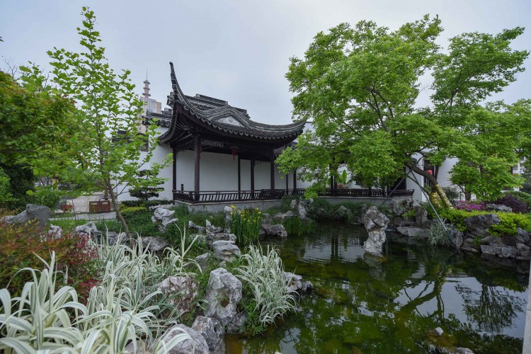 江蘇太湖畔的冷門度假秘境景美人少卻常被游客忽略