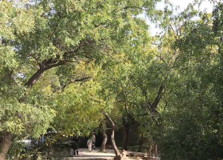 河北8個(gè)小眾自駕游好去處攻略推薦