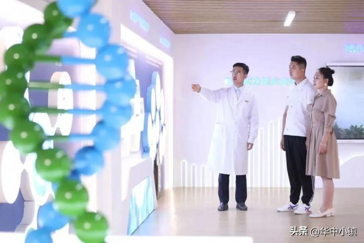河北淶源：淶源榮獲康養(yǎng)旅游百強(qiáng)縣打卡華中小鎮(zhèn)健康游