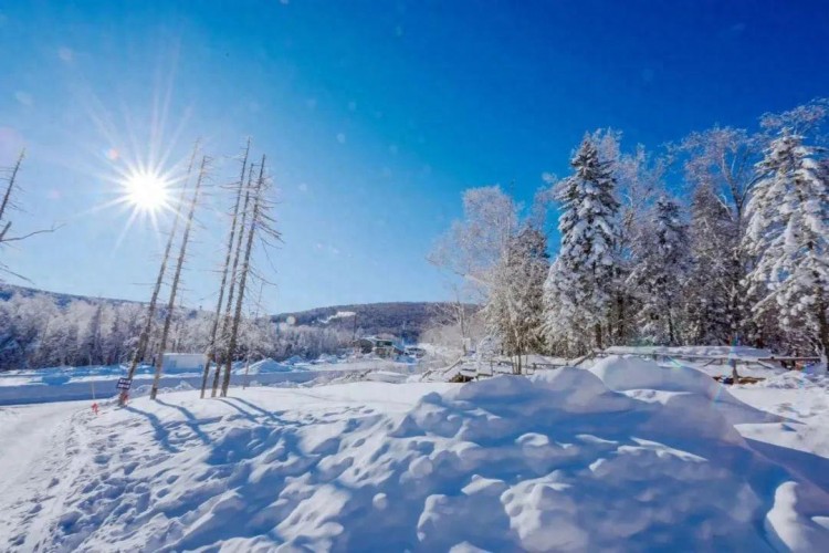 線路推薦|來哈爾濱開啟一場中國雪鄉-亞布力穿越自駕之旅！
