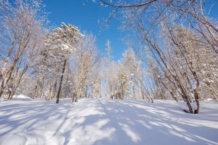 線路推薦|來哈爾濱開啟一場中國雪鄉-亞布力穿越自駕之旅！