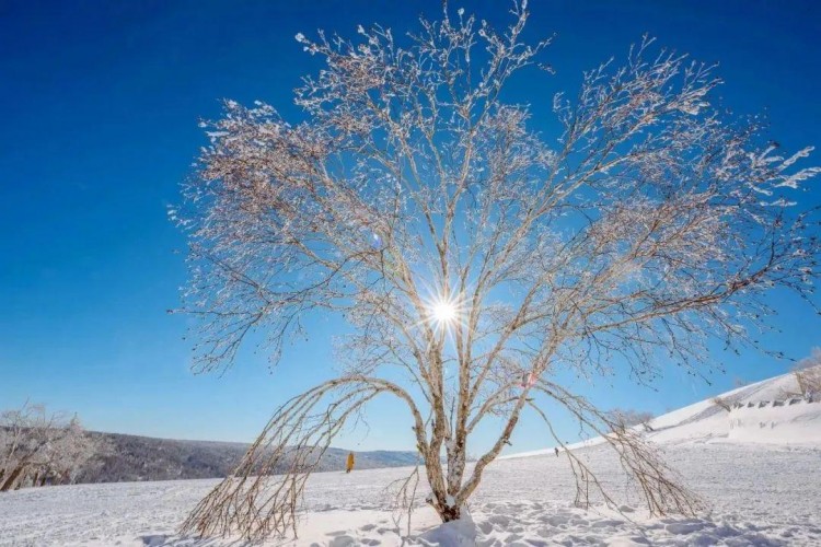 線路推薦|來哈爾濱開啟一場中國雪鄉-亞布力穿越自駕之旅！