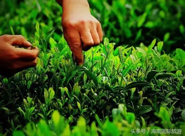 健瑞兒親子文化：享天然冷泉SPA給您一個不一樣的母親節