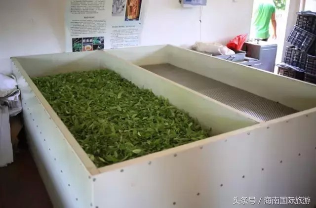 健瑞兒親子文化：享天然冷泉SPA給您一個不一樣的母親節