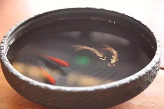 這家貴陽最美的院子酒店是今夏避暑的絕佳目的地