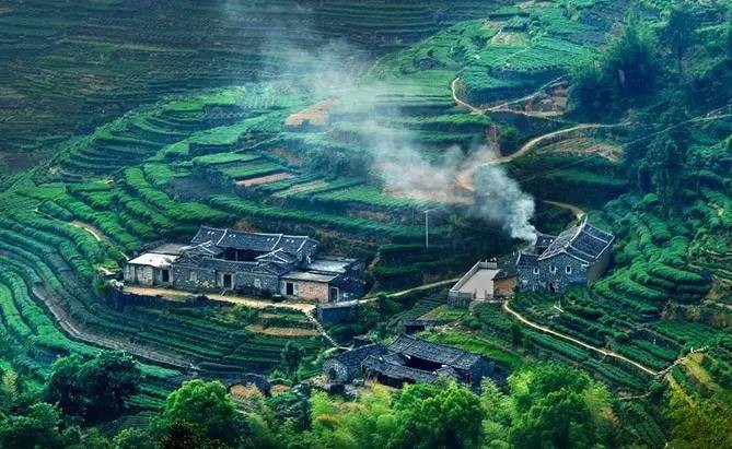 免費體驗｜到安溪悅泉行館參禪，吃茶