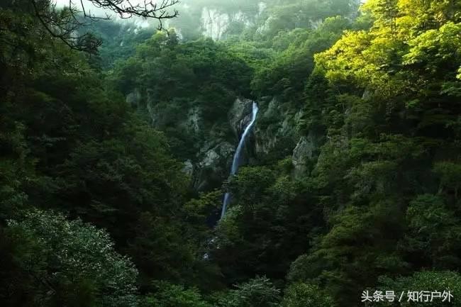 河南第一氧吧免費玩啦！瀑布堪比九寨顏值太高要小心醉氧哦~