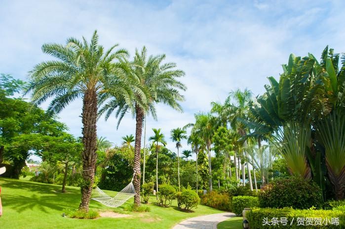 海南最旺的聚寶盆香港玄學大師李居明每次來都必去的一個地方