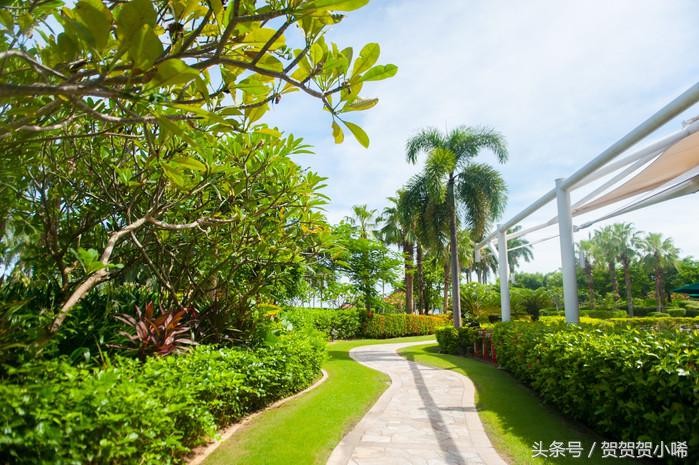 海南最旺的聚寶盆香港玄學大師李居明每次來都必去的一個地方