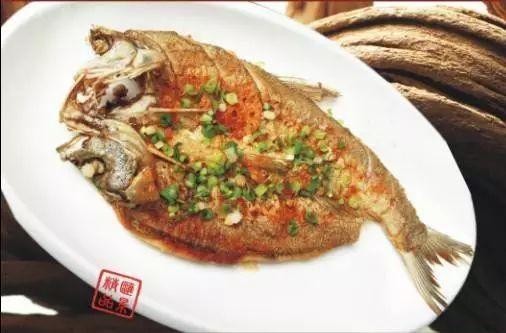 重陽節帶父母家人去湖南這8處自駕房車露營地享慢時光