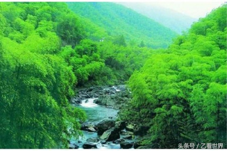 到湖北咸寧旅游這六個(gè)旅游景區(qū)不要錯(cuò)過(guò)你喜歡嗎