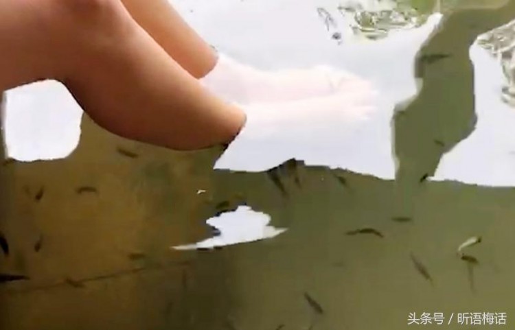 約會西安樓觀道溫泉泡她個桃花紛飛暮不歸