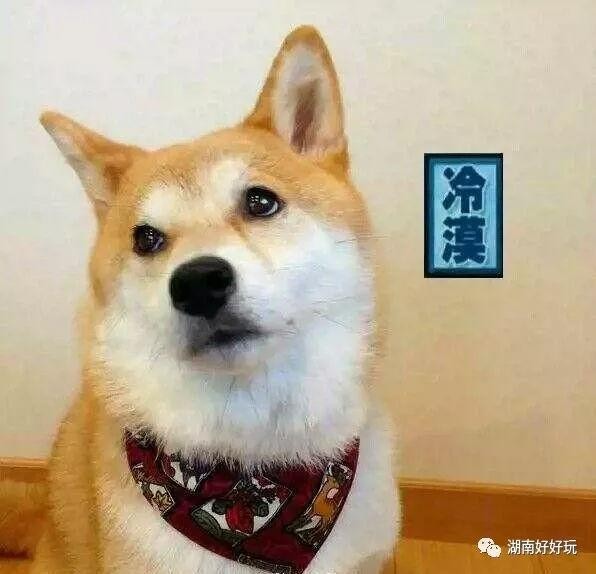 湖南最早開園的水上樂園你敢來尖叫一夏嗎