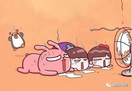 湖南最早開園的水上樂園你敢來尖叫一夏嗎