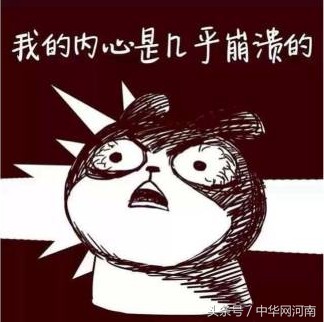 錯過了支付寶錦鯉河南錦鯉你還要再錯過嗎