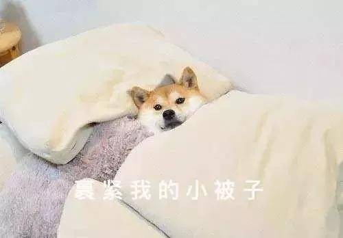 沒有泡湯不冬天！超全馬鞍山周邊泡湯指南 快速收藏！