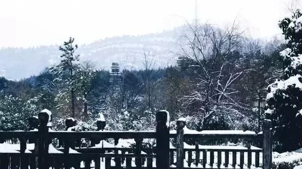 冬日必打卡7家網(wǎng)紅雪景通刷僅需300元！