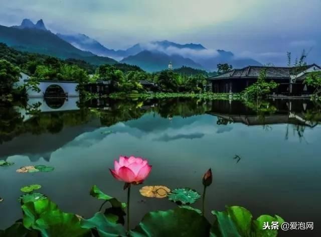 安徽最美的三家酒店元旦春節(jié)全家自駕首選請(qǐng)收藏！