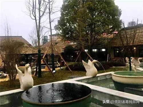 來貴陽過年的人你的新年第一泡來這里不負好時光！