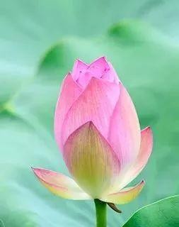 五月出游季，黔南這個即將爆火的網紅打卡地，趁著人少，我們免費帶你去！