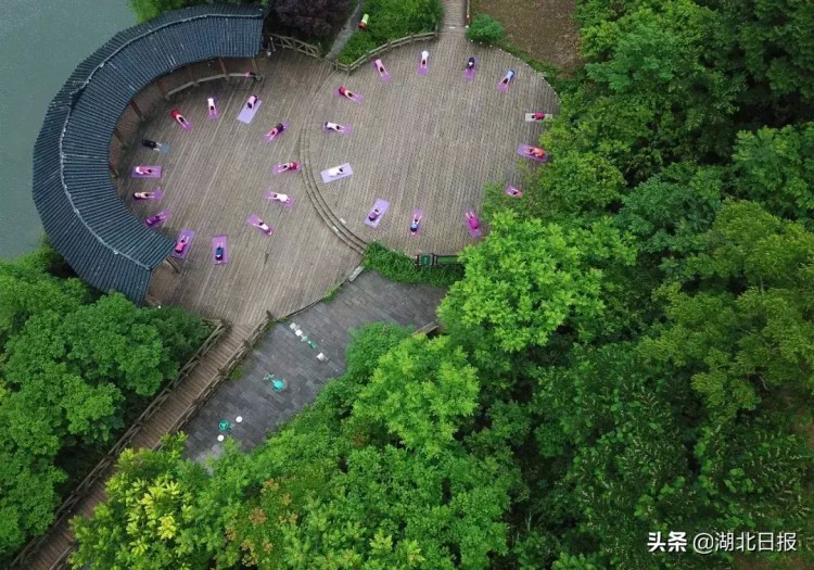 湖北一個縣要成4A級景區(qū)了！上廁所都有儀式感……