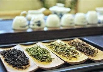 速來！約一波老少皆宜的秋日養(yǎng)生局