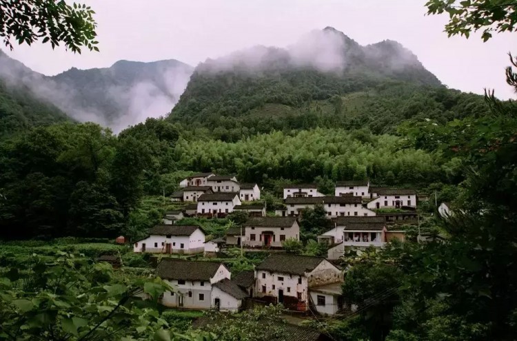 景美人少來石臺仙寓山給身心做個森林浴SPA