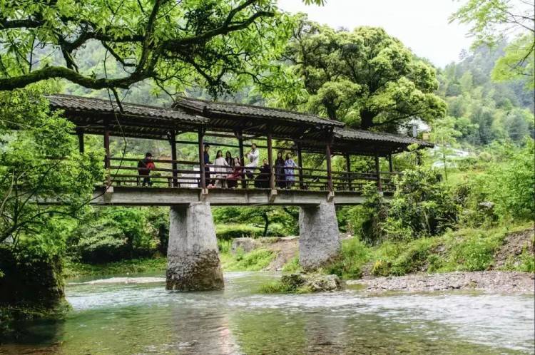 景美人少來石臺仙寓山給身心做個森林浴SPA