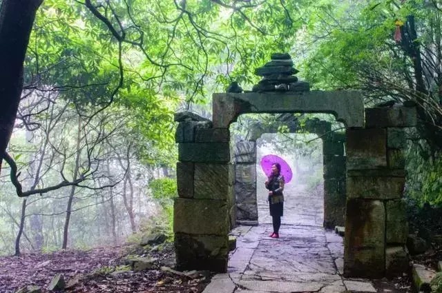 景美人少來石臺仙寓山給身心做個森林浴SPA
