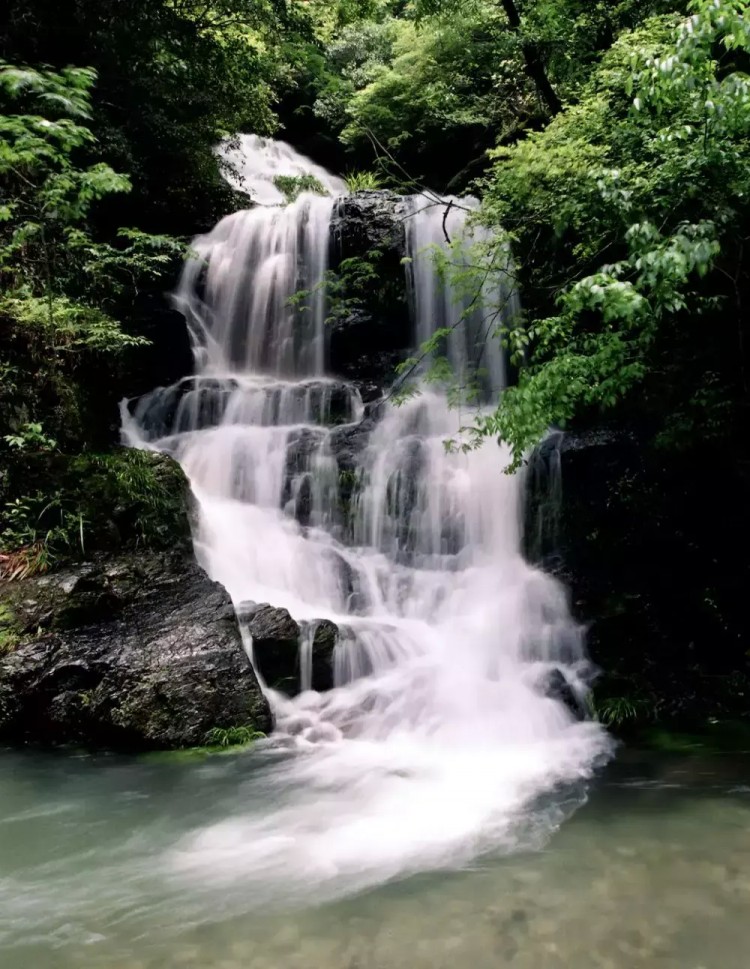 景美人少來石臺仙寓山給身心做個森林浴SPA