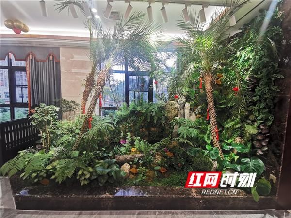 打造健康養生生活方式頤而康長沙南城再開新店