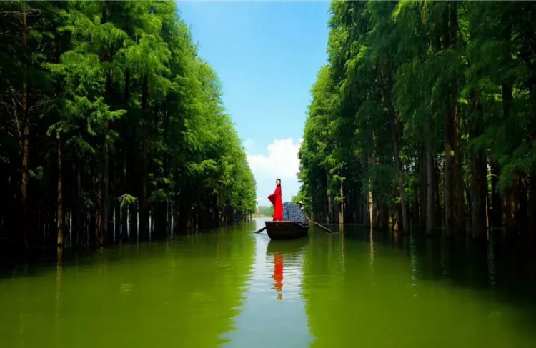 仙桃夢里水鄉洗肺養心之所歡迎您的到來！