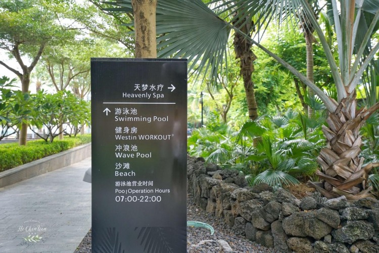 航拍藍灣綠城威斯汀在亞洲最大的水療做個SPA_清水