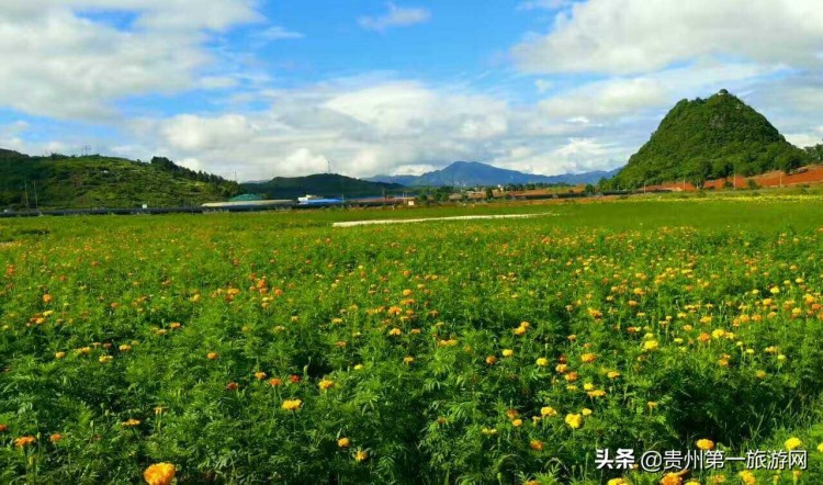 西南門戶秀美獨山：來這里做個天然生態SPA