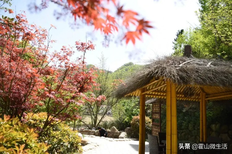九月來(lái)霍山這個(gè)小鎮(zhèn)吃住游齊了
