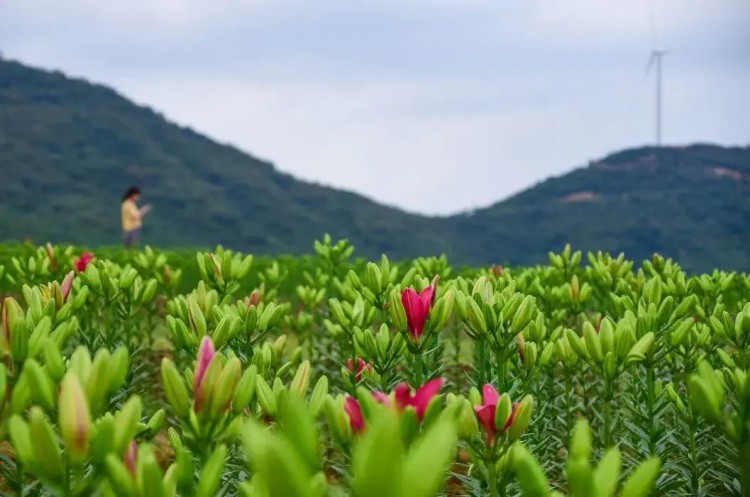 中秋節，國慶節快到了！提供半湯溫泉養生度假區旅游攻略