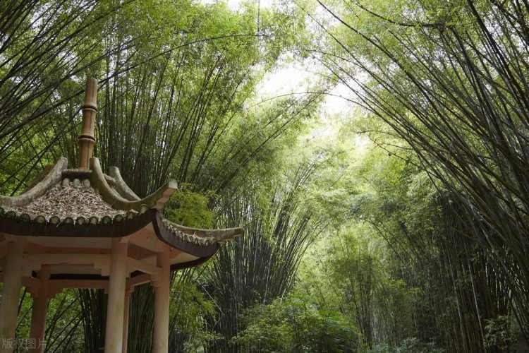 去福州去這10個景點就對了