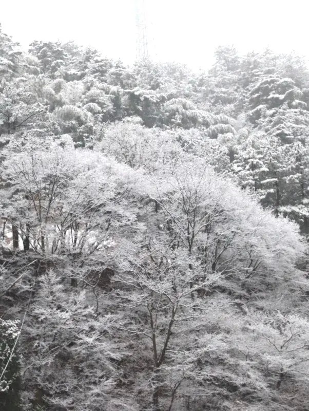 湖北省內唯一可以滑雪泡溫泉的寶藏小縣城一到冬天簡直美翻