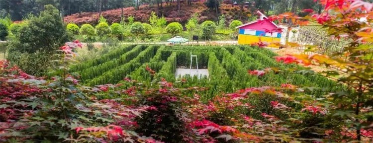 五一游烏當|美景美食趣味活動這條歡樂假期五日游線路將承包你的整個五一節！