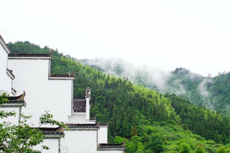 藏在黃山山水間的徽派世外桃源里的民宿享親子時光丨悅榕莊