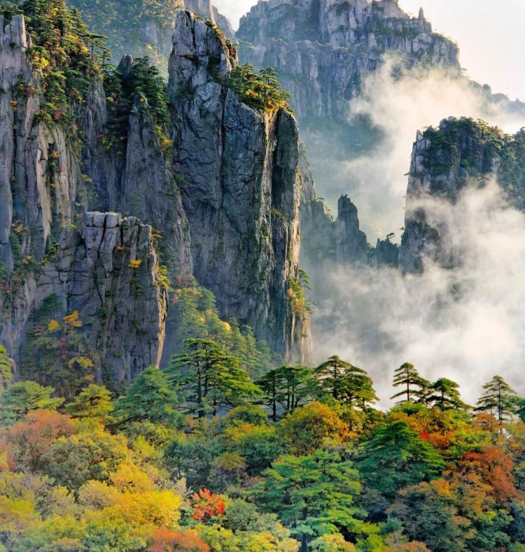 安徽人游安徽|限時返場！擁有這份賞秋套餐讓你盡享黃山迷人秋色