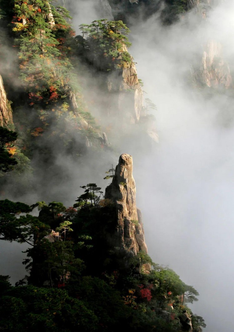 安徽人游安徽|限時返場！擁有這份賞秋套餐讓你盡享黃山迷人秋色