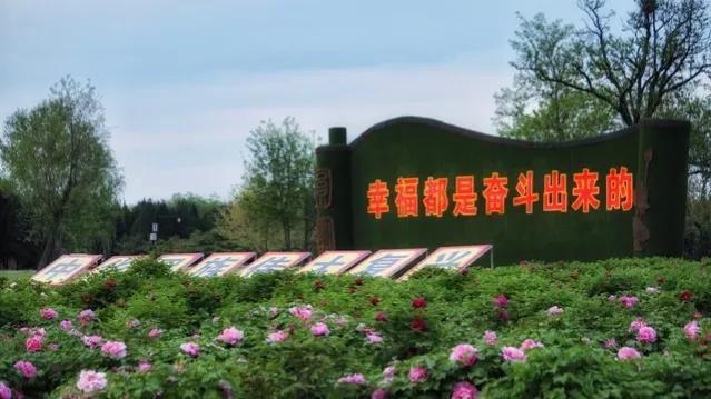 男子住酒店女技師上門推銷50元的洗腳按摩服務但結(jié)果竟然出人意料