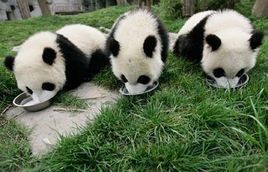 福建十大適合親子旅游的地方