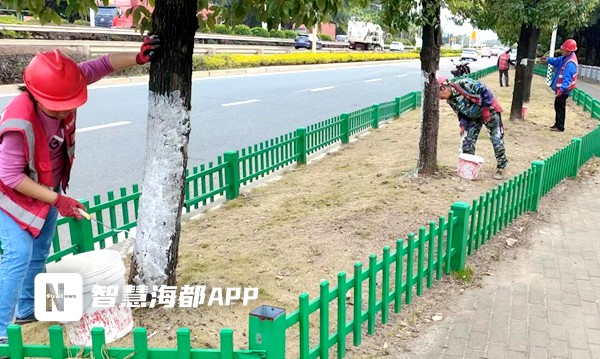 穿衣覆膜涂白…….福州植物開始享受越冬SPA