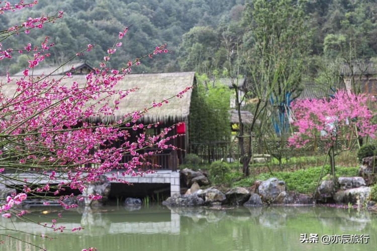 三月份旅游最佳地方江西10個值得去的景點