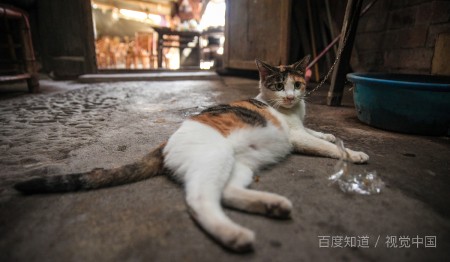 值得去長沙的會所?