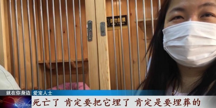 寵物經濟興起它們的身后事該何去何從